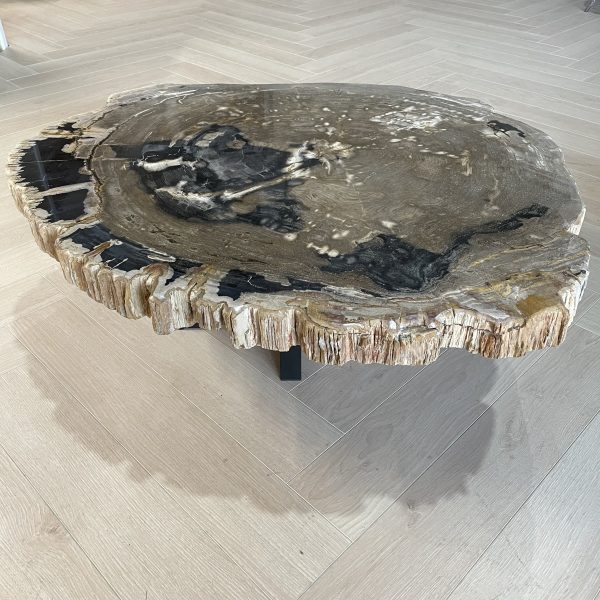 Couchtisch aus versteinertem Holz