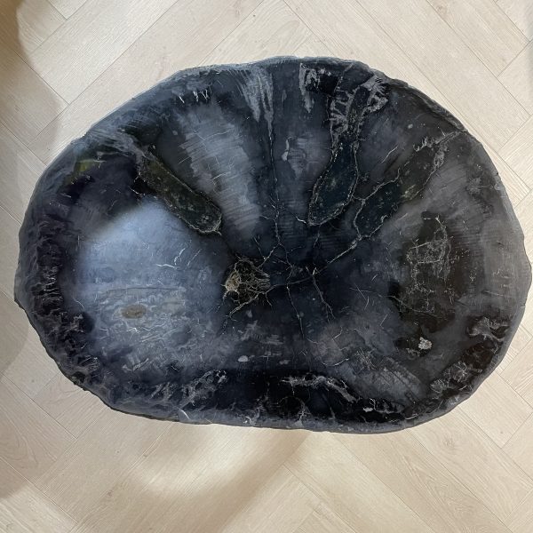 Versteend hout salontafel