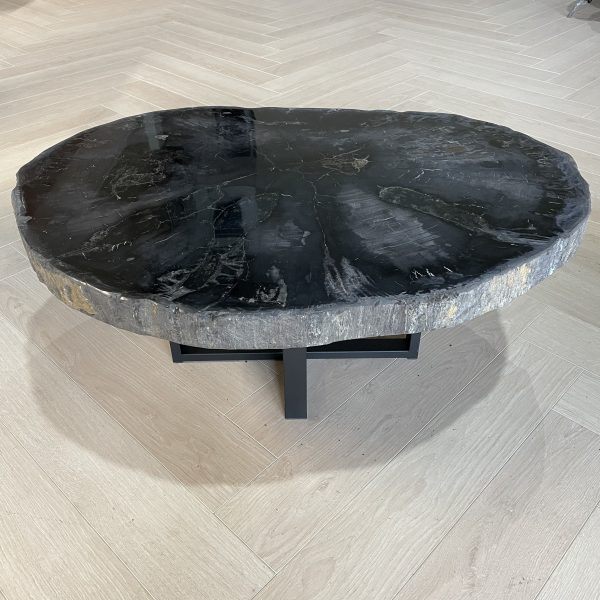 Versteend hout salontafel