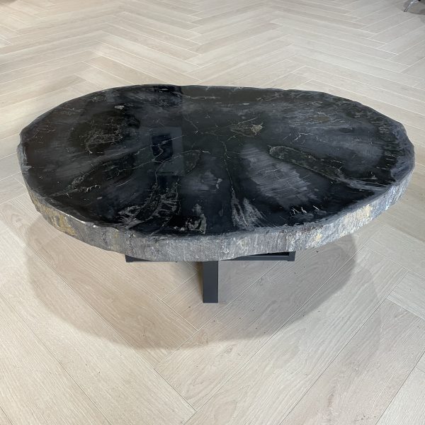 Versteend hout salontafel
