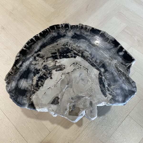 Versteend hout salontafel