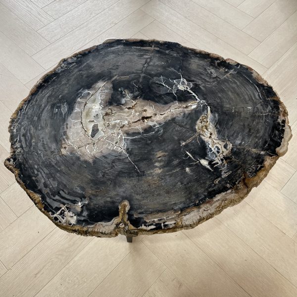 Couchtisch aus versteinertem Holz