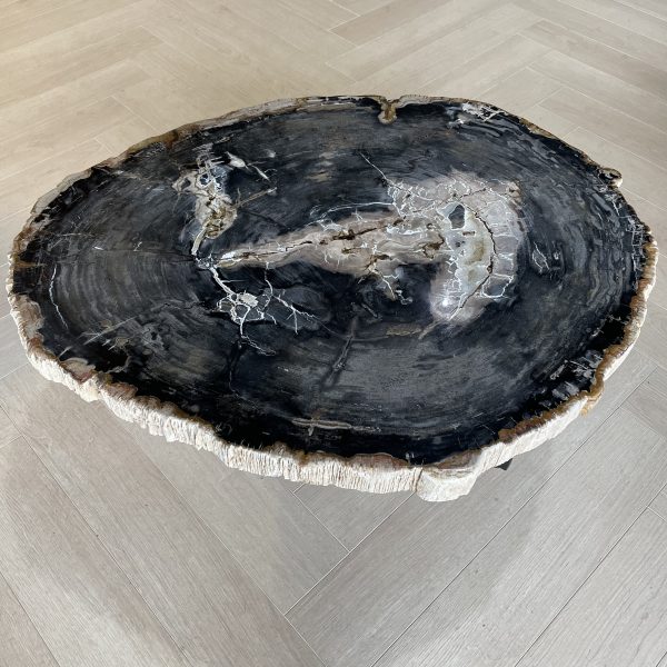 Couchtisch aus versteinertem Holz