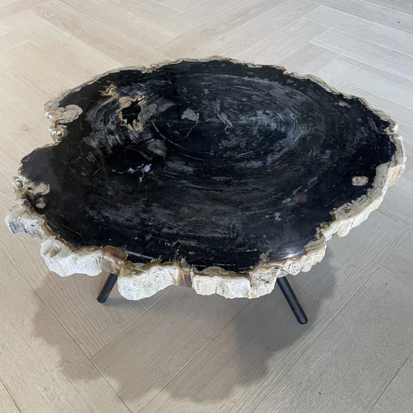 Couchtisch aus versteinertem Holz