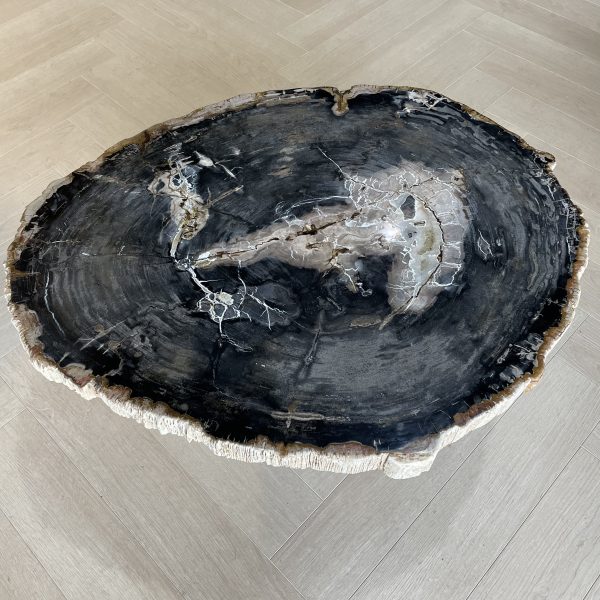 Couchtisch aus versteinertem Holz