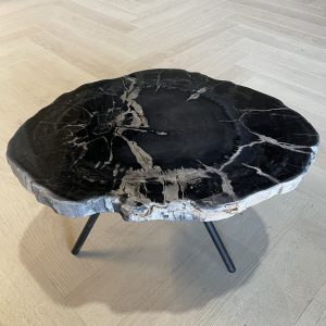 Versteend hout salontafel
