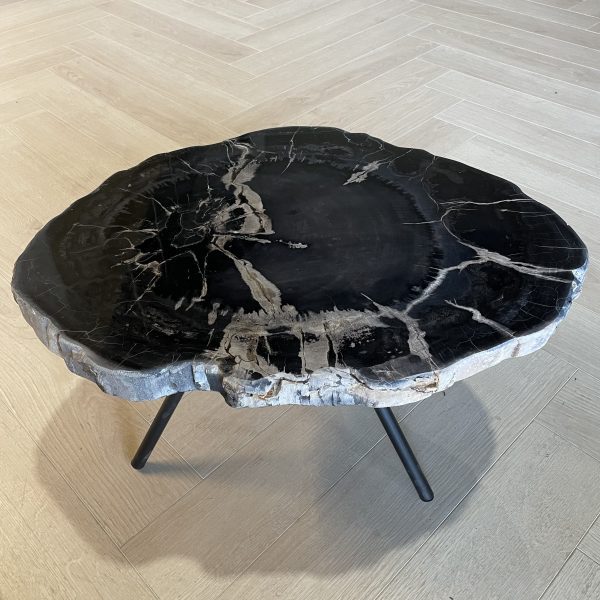 Versteend hout salontafel