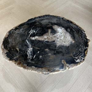 Versteend hout salontafel