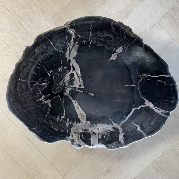 Versteend hout salontafel