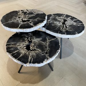 Versteend hout salontafel