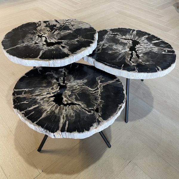 Versteend hout salontafel