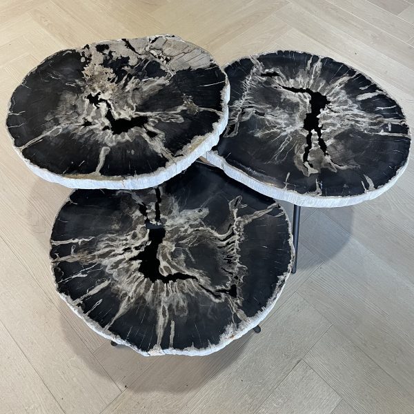 Versteend hout salontafel