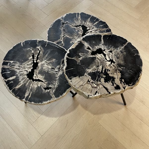 Versteend hout salontafel