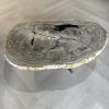 Couchtisch aus versteinertem Holz