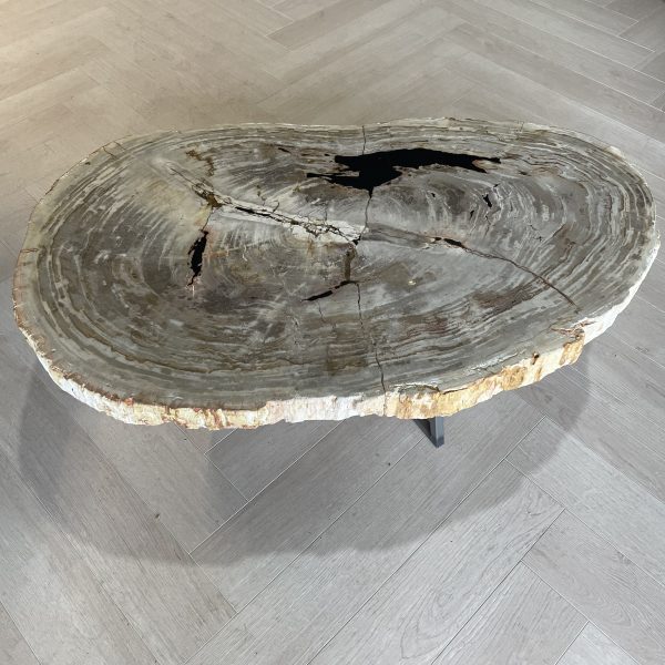 Versteend hout salontafel