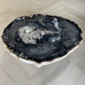 Versteend hout salontafel