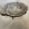 Versteend hout salontafel