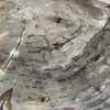 Versteend hout salontafel