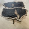 Couchtisch aus versteinertem Holz