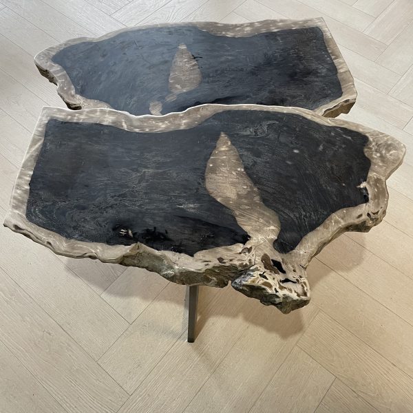 Couchtisch aus versteinertem Holz