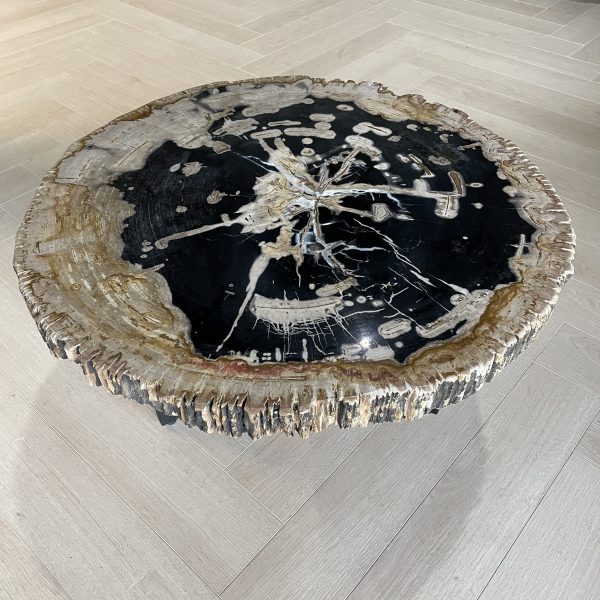 Couchtisch aus versteinertem Holz