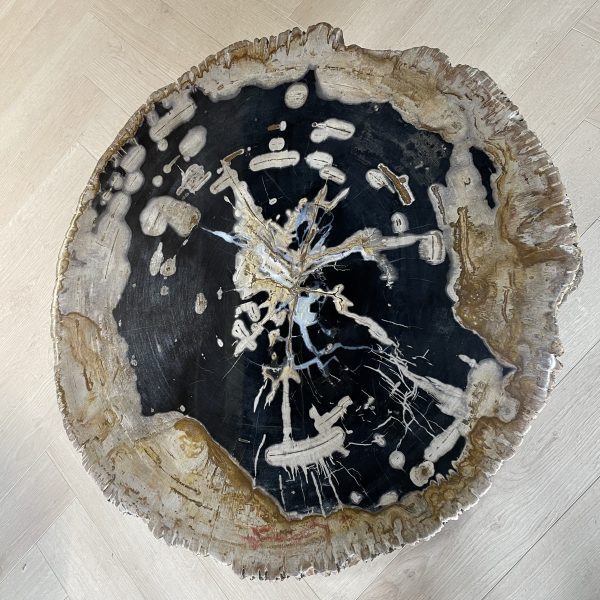 Couchtisch aus versteinertem Holz