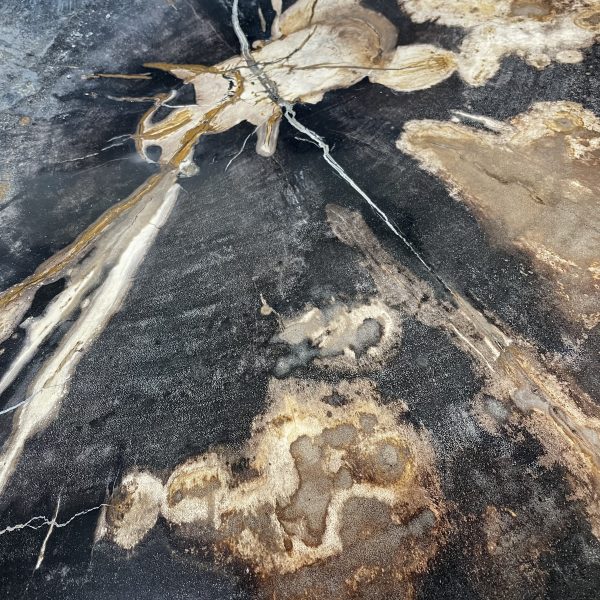 Couchtisch aus versteinertem Holz