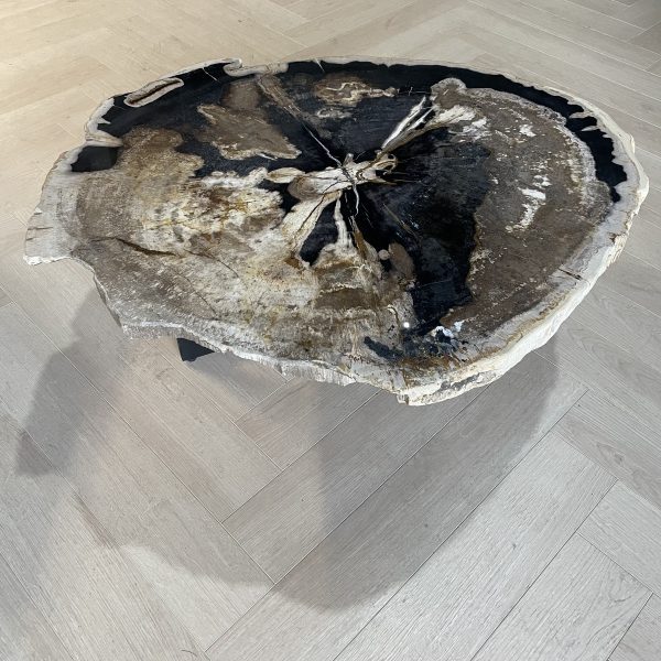 Couchtisch aus versteinertem Holz