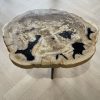 Versteend hout salontafel