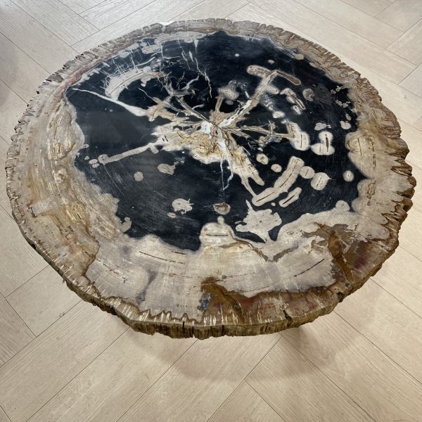 Couchtisch aus versteinertem Holz