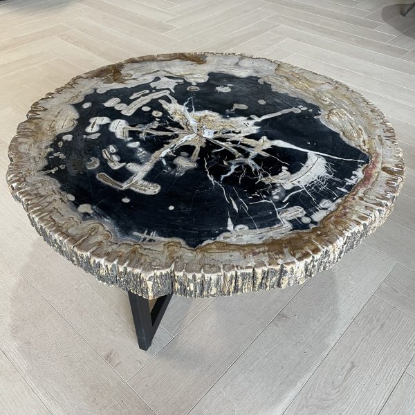 Couchtisch aus versteinertem Holz
