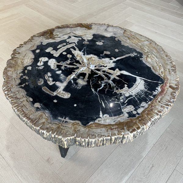 Couchtisch aus versteinertem Holz