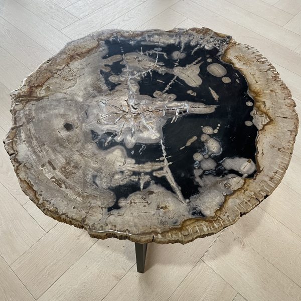 Couchtisch aus versteinertem Holz