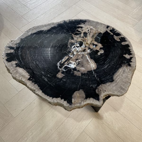 Couchtisch aus versteinertem Holz