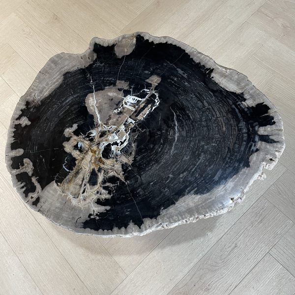 Couchtisch aus versteinertem Holz