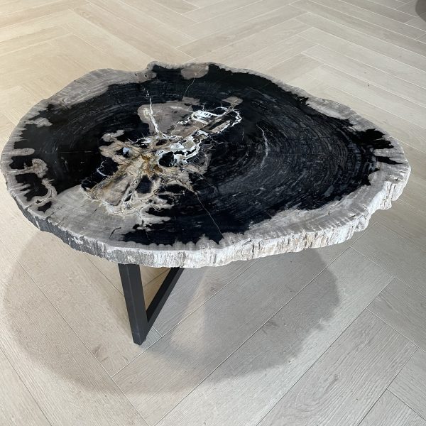 Couchtisch aus versteinertem Holz