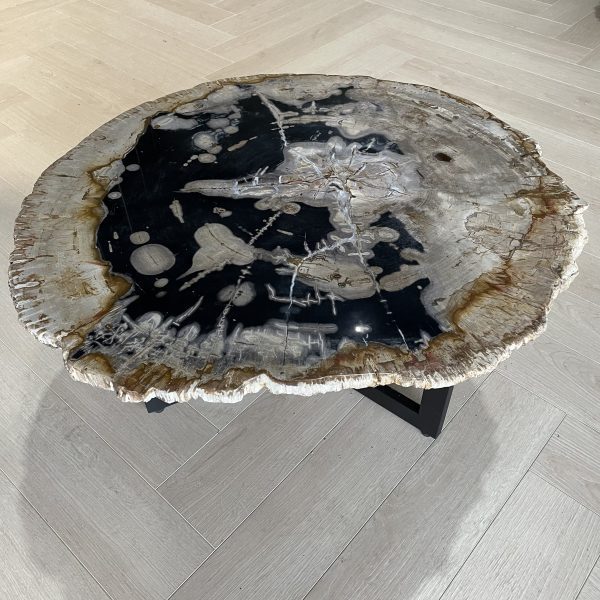 Couchtisch aus versteinertem Holz