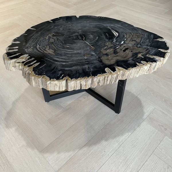 Versteend hout salontafel