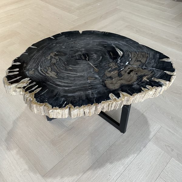 Versteend hout salontafel