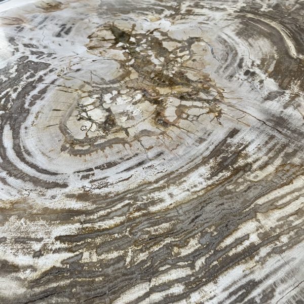 Couchtisch aus versteinertem Holz