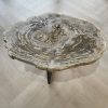 Couchtisch aus versteinertem Holz