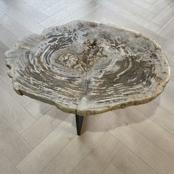 Couchtisch aus versteinertem Holz