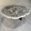 Couchtisch aus versteinertem Holz