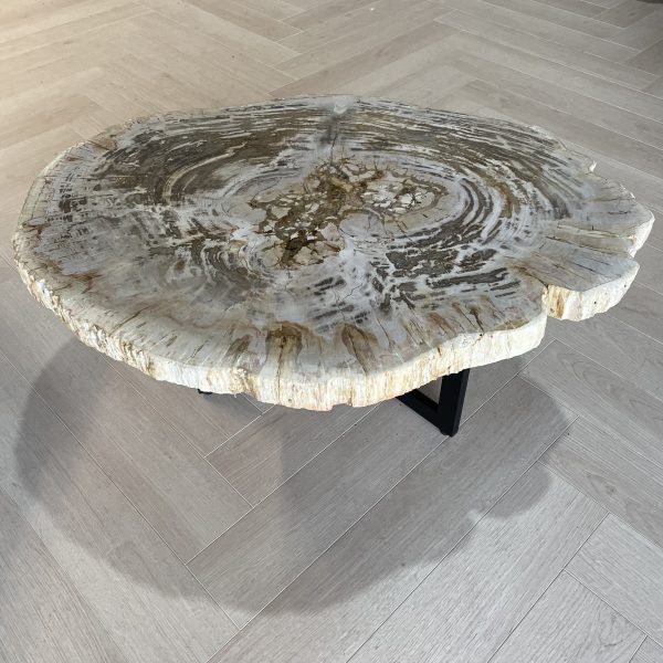 Couchtisch aus versteinertem Holz