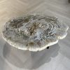 Couchtisch aus versteinertem Holz