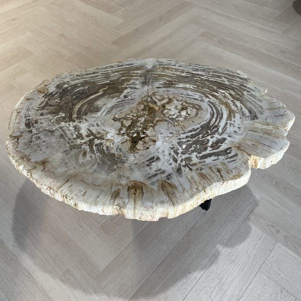 Couchtisch aus versteinertem Holz
