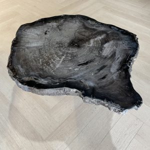 Couchtisch aus versteinertem Holz