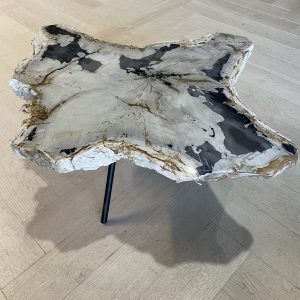 Versteend hout salontafel