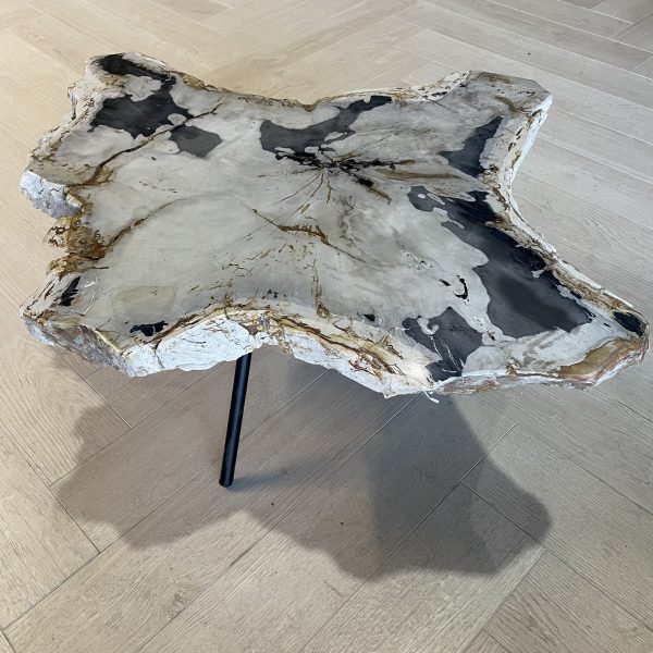 Versteend hout salontafel