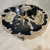Couchtisch aus versteinertem Holz